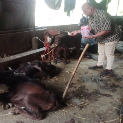 generous-solution-social-services